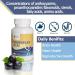 Synerplex A a Capsules - All-Natural Superfood for Brain Heart & Reproductive Health | Nutrient Dense & Antioxidant Rich - Buy Online on GoSupps.com