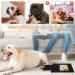 Wooden Dog Nail File Board with Snack Box - Puppy Nail Grinding Pad Alternative to Clippers & Grinders - Buy Online on GoSupps.com