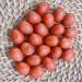 Set of 20 Mini Crystal Mix Eggs Polished Tumbled Rock for Healing and Meditation Variety Crystals Stone Easter Eggs Healing Crystals Eggs - Buy Online on GoSupps.com