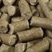 Speed Delicious Eucalyptus Pferdeleckerli - Refreshing 5kg Horse Snack | Best Ingredients for Happy Horses - Buy Online on GoSupps.com