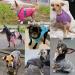 Hualisiji Small Dog Sweater for Chihuahua - Warm & Light Knitted Sweater Set (Blue & Gray) - Soft Elastic Easy to Wear - 2PCs Large - Buy Online on GoSupps.com