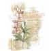 Flower Overlay Rice Paper - 8x10.5 inch, 6 Different Printed Images, 30gsm Mulberry Paper for Decoupage Crafts - Buy Online on GoSupps.com