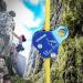 WILDKEN Climbing Ascender Fall Protection Belay Device Climbing Rope Grab for Rock Climbing Mountaineering Tree Arborist Expedition Caving Rescue Aerial Work Blue - Buy Online on GoSupps.com