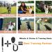Duuclume Hands-Free Dog Training Kit with Treat Pouch, Clicker, Whistle & Carabiner - Grey - Buy Online on GoSupps.com