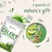 Organic Celery Juice Powder 20oz - Detox, Cold Pressed, Immune Boosting & Gut Health Support | Vegan Formula with Vitamin C and Minerals - Buy Online on GoSupps.com