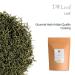 Organic Dill Herb - Premium Quality Gourmet Garnish for Exquisite Dishes | 100g - Buy Online on GoSupps.com