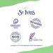 St. Ives Blackhead Clearing Face Scrub with Green Tea & Bamboo, 6 oz - Oil-Free Salicylic Acid Acne Medication - Unclogs Pores and Clears Blackheads - Natural Exfoliants - Pack of 1 - Buy Online on GoSupps.com