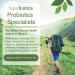 Hyperbiotics PRO-Men: 5 Billion CFU | 30 Time-Release Probiotic Tablets - Buy Online on GoSupps.com