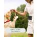 Dogster XXL Dog Treats - Quick Access Snack Bag with Carabiner | Perfect Rewards for Dogs - International Shipping Available - Buy Online on GoSupps.com
