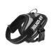 IDC Powerharness Size: 3XS/Baby 1 Silver Silver 3XS/Baby 1