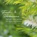 Gya Labs Tea Tree Essential Oil Roll On 10ml - Refreshing Leafy Scent (Pack of 1) - Buy Online on GoSupps.com