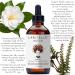 Buy Organic Hair Growth Set | 16 oz Shampoo Conditioner & 4 oz Treatment | Argan Oil & Essential Oils | NO GMO Sulfates Alcohol | International Shipping - Buy Online on GoSupps.com