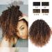 Hair Extensions 8 Inch Short Curly with Drawstring Hairpin Ponytail Afro Ponytail Hair Extension Synthetic Curly Bun for Black Women Hair Pieces For Women (Color : D Size : 8inches) 8inches D - Buy Online on GoSupps.com