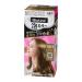 Kao Blaune Foam Color Gray Hair Dye 1AH Ash Beige