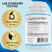 WEJOY Active: Lions Mane Menopause Supplement for Women - Supports Brain Fog, Joint Pain, Memory, Immunity & Clarity - Buy Online on GoSupps.com