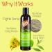 Tea Tree & Witch Hazel Deep Pore Acne Cleanser - Salicylic Acid Face Wash for Oily Skin & Acne Prone Skin - Natural 8oz Acne Wash for Men & Women - International Shipping Available - Buy Online on GoSupps.com