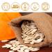 Pumpkin Seed Oil Duo: Hair Growth, Skin Care, Nail Nourishment, Scalp Relief, Blood Circulation, Moisturizer, Lash Serum - 2 Bottles - Buy Online on GoSupps.com