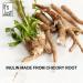 Inulin Prebiotic Fiber Sweetener - 2lb Pack of Chicory Root Powder from Belgium - Buy Online on GoSupps.com