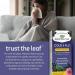 Nature's Way Sambucus Cold and Flu Care Immune with Vitamin C and Zinc Elderberry Syrup with Echinacea and Propolis Used in Herbal Medicine for Symptom Relief for Kids 2+ and Adults 120 ml - Buy Online on GoSupps.com