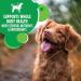 IAMS PROACTIVE HEALTH Dog Food Dry Minichunks Adult Chicken & Whole Grains Recipe 1.50kg Bag 1.5 kg (Pack of 1) Mini Chunks - Buy Online on GoSupps.com