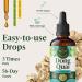 HERBAMAMA Dong Quai Supplement for Women - Vegan Women s Support with Angelica Sinensis Extract Drops - Mood & Calm Support with Angelica Root Tincture - Non-GMO Alcohol & Sugar-Free 56-Day Supply 4 Fl Oz (Pack of 1) - Buy Online on GoSupps.com
