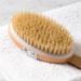 Organic Pharmacy Skin Brush - Gentle Exfoliation for Radiant Skin - Buy Online on GoSupps.com