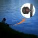 Fishing Bite Alarm Set - 6 Piece Electronic Indicator with LED Light - Buy Online on GoSupps.com