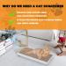 Smartbean 3PCS Cat Scratcher Pad - Double-Sided Design for Extended Life - Buy Online on GoSupps.com