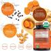 Organic Turmeric Supplement with Black Pepper - USDA Certified, Non-GMO Curcumin 2115mg - Antioxidant Joint & Immune Support - 120 Tablets - Buy Online on GoSupps.com
