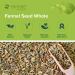 Mimea Fennel Seed Whole | 1kg | Quality Ingredients | Great for Cooking | Herbal Remedy | Natural | Great for Pickling - Buy Online on GoSupps.com
