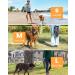 HAPPY HACHI 15m/50ft Reflective Dog Training Lead | Nylon Rope with Soft Handle and 2 Swivel Clips | Ideal for Large, Medium, and Small Dogs | Black - Buy Online on GoSupps.com