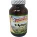 Always In Good Taste! Triphala 90 Capsules - Buy Online on GoSupps.com