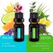 Pure Daily Care Top 10 Essential Oil Synergy Blend Set - 10x10mL Therapeutic Grade Oils for Mind, Body, and Spirit Upliftment - No Fillers or Additives - Buy Online on GoSupps.com