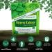 Hildegard's Original Bitters Tablets - Herbal Remedy for Fasting, Liver Cleanse, Heartburn & Digestion Support - Buy Online on GoSupps.com