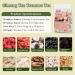 Ginseng Ten Treasure Tea - Ginseng & Mulberry Herbal Tea ten organic herbal tea for Women & Men (30*bag/1*pac) - Buy Online on GoSupps.com