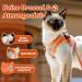 Supet Cat Dishes & Soft Vest Set for Cats & Small Dogs - Adjustable Leash Breakfast Collection Medium (33-38 cm) - Orange - Buy Online on GoSupps.com