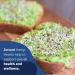 Hemp Hearts - 100% Pure Hemp Hearts - Raw Shelled Hemp Seeds (1 Pound) - Buy Online on GoSupps.com