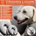 Pfotengut Inflatable Dog Breaker Crane with Air Pump | Improved Neck Cradle for Dogs & Cats | Premium Protective Collar | Leak Protection 2023  - Buy Online on GoSupps.com