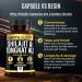 Earth Elixir Shilajit & Tongkat Ali Capsules (180ct) - Made in USA - 1000mg Shilajit with 20% Fulvic Acid - Pure Himalayan Organic Supplement for Men - Buy Online on GoSupps.com