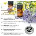 ANA & HANA Mindful Breathing Necklace | Essential Oil Diffuser Pendant for Anxiety Relief Stress Reduction Meditation Aromatherapy & Better Sleep - International Shipping Available - Buy Online on GoSupps.com