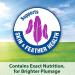 Kaytee Forti-Diet Pro Health Cockatiel Food - Nutritious Support Diet - Buy Online on GoSupps.com