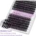 Individual Eyelashes Clusters 240PCS | D Curl 0.07mm 40D/50D Mixed | 16-20mm Lash Extensions - DIY Wide Stem Clusters - RR-16-20mm - Buy Online on GoSupps.com