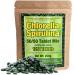 Premium Chlorella Spirulina 1,250 Tablets - 4 Months Supply, Non-GMO, Vegan Organic Capsules, Broken Cell Wall, Alkalizing, High Protein with Iron/Zinc/Chlorophyll, by Good Natured 1250 Count (Pack of 1)