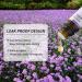 GREENSLEEVES Verbena Essential Oil 10ml - Organic, Pure, and Aromatic - Buy Online on GoSupps.com