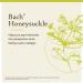 Bach Original Flower Remedies Honeysuckle 20mL - Embrace the Now, Holistic Wellness, Vegan - Buy Online on GoSupps.com