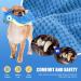 ROSAUI Plush Squeaky Cockatoo Dog Toy - Interactive Dental Chew Toy for All Breed Sizes - Buy Online on GoSupps.com