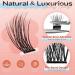 LASHVIEW Self Adhesive Eyelashes - D Curl Press On Lash Clusters Kit (10-16mm) | No Glue No Remover DIY Lash Extension - 78 Pcs with Applicator - Buy Online on GoSupps.com