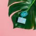 COCOFLOSS Coconut Oil-Infused Dental Floss Sampler | Travel Minis | Dentist-Designed Waxed Floss with Mint, Coconut, Strawberry & Orange Aromas - Buy Online on GoSupps.com