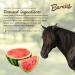 Barnie s All-Natural Horse Treats Vitamin-Enhanced Locally Sourced Canadian-Made Biscuits for Horses | 4 Flavours (Classic Apple Watermelon Peppermint) (1.5kg Watermelon) - Buy Online on GoSupps.com