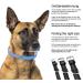 Premium Leather Sniffing Fans Dog Collar - Padded Robust Adjustable for Large Medium and Small Dogs (L - 36-45cm Black) - Buy Online on GoSupps.com